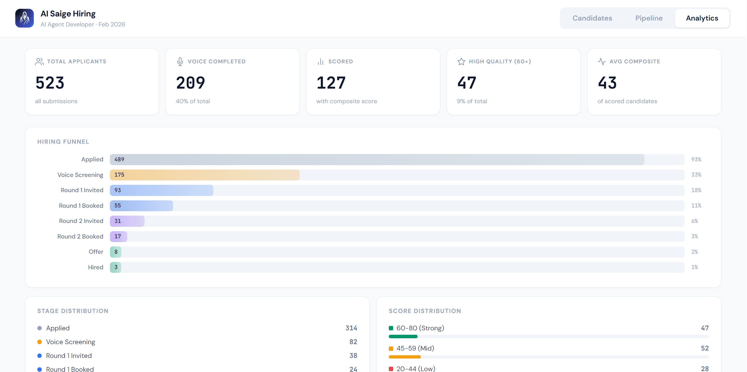 Hiring Analytics Dashboard showing applicant volume